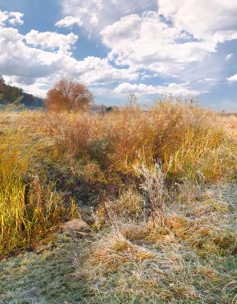 renkli sonbahar manzarası 