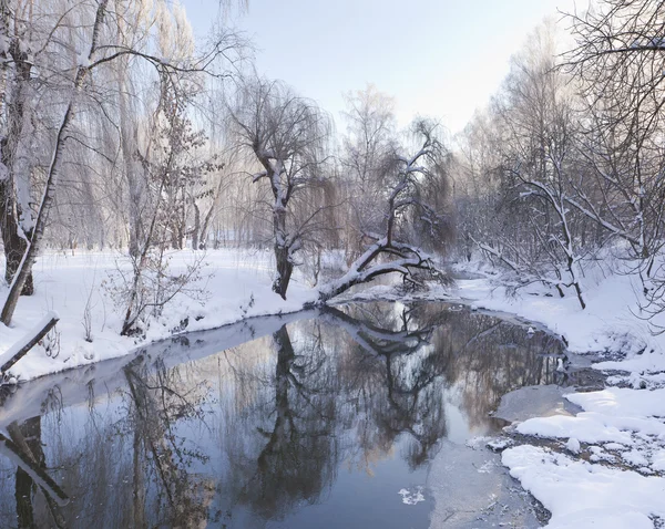 Hiver dans le parc municipal — Photo