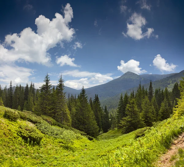 Dağlarda yaz manzarası