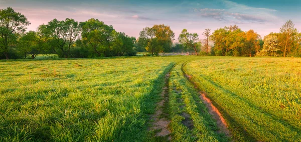 sabah bahar çayır Panoraması