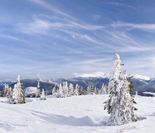 Karpat Dağları 'ndaki kış manzarası