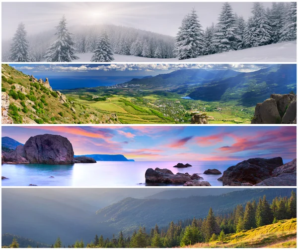 Set van de 4 seizoenen landschap — Zdjęcie stockowe