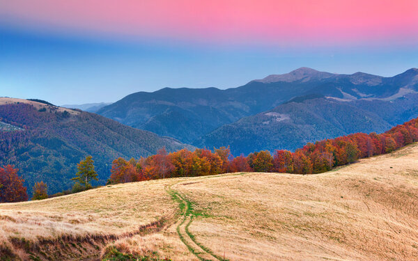 Красочный осенний пейзаж в горах
