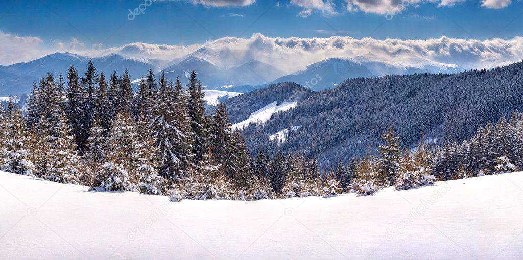 Winter panorama of the Carpathian Mountains