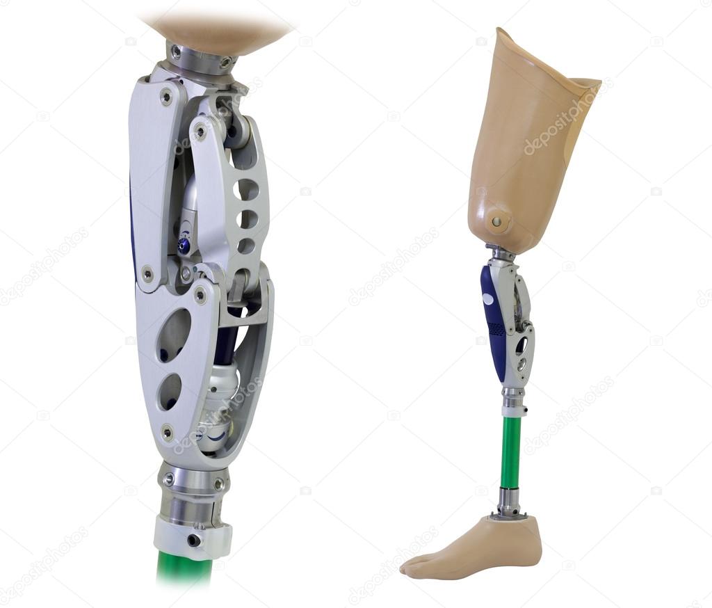 Prosthetic leg and knee mechanism