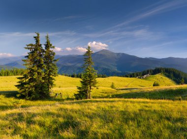Dağlarda yaz manzarası