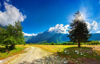 alpine meadows güzel görünümü