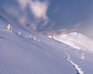 Karpat Dağları 'ndaki kış manzarası