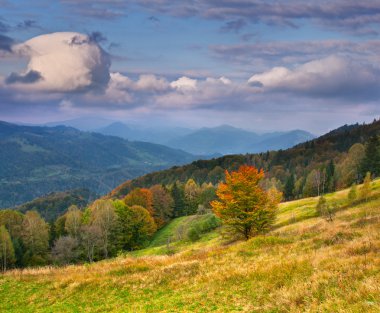 Karpat Dağları 'nda sonbahar manzarası
