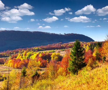 Dağlarda sonbahar manzarası
