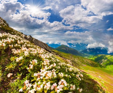 Kafkas Dağları'nda Alpine meadows.