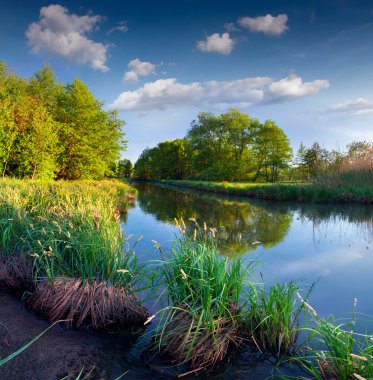 Yaz manzara nehir üzerinde