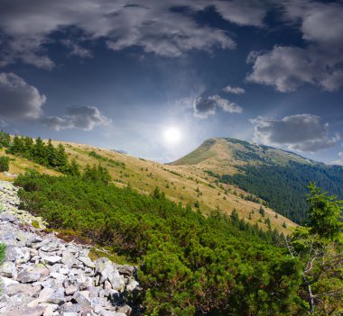 Dağlarda yaz manzarası