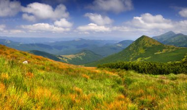Dağlarda yaz manzarası