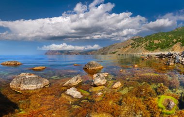 deniz manzarası, yaz