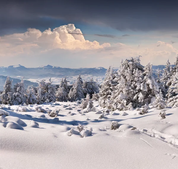Зимовий пейзаж у горах — стокове фото