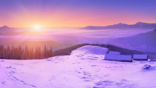 카 르 파 티아 산맥에 겨울 일출 — 스톡 사진