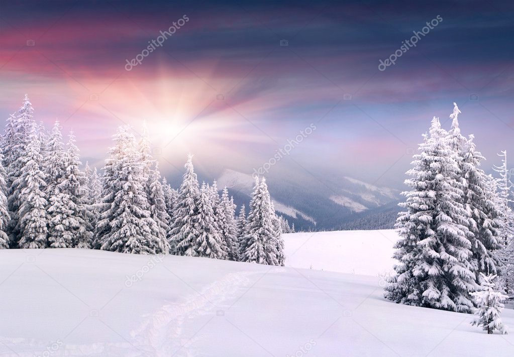 Winter landscape in the mountains.