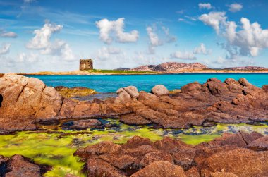 Torre della Pelosa kulesiyle Spiaggia della Pelosa sahilinin muhteşem yaz manzarası. Sardunya adasının, İtalya 'nın, Avrupa' nın mükemmel sabah manzarası. Akdeniz 'in muhteşem deniz manzarası. 