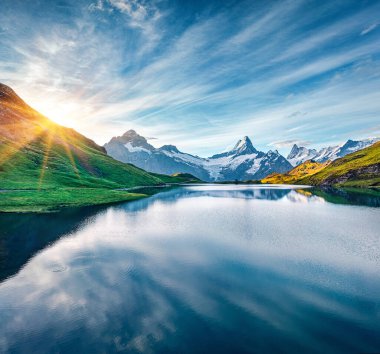 Arka planda Schreckhorn ve Wetterhorn 'lu tavukların olduğu Bachalpsee Gölü' nün sakin yaz sahnesi. İsviçre Bernese Alpleri, İsviçre, Avrupa 'nın muhteşem sabah manzarası. Doğa konseptinin güzelliği