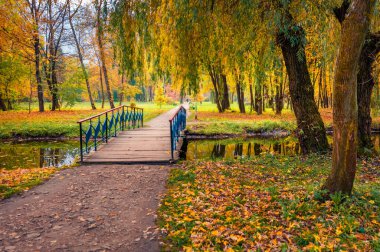 Şehir parkındaki küçük nehrin üzerindeki tahta köprü. Kasaba meydanının renkli sonbahar manzarası. Doğa konseptinin güzelliği