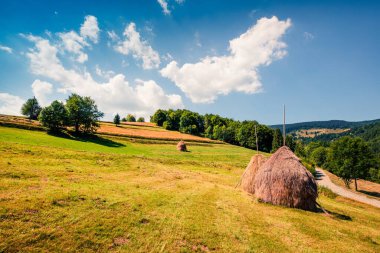 Rogojel köyünün muhteşem sabah manzarası. Cluj County, Romanya, Avrupa 'nın renkli yaz manzarası. Kırsal konseptin güzelliği.