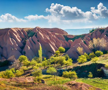 Cappadocia 'nın büyüleyici yaz manzarası. Kırmızı Gül Vadisi 'nin muhteşem sabah manzarası. Nevsehir ilçesinin bulunduğu Cavusin köyü, Türkiye, Asya. Seyahat konsepti arka planı.