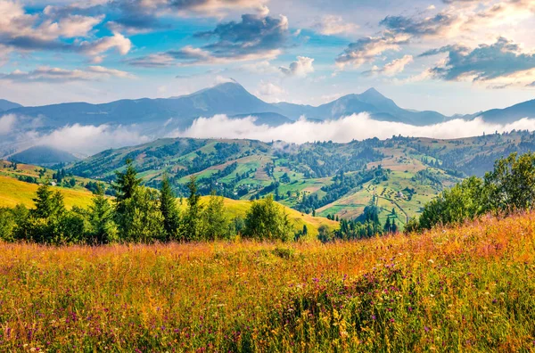 Landscape Photography Two Highest Mountains Carpathians Hoverla Petros Morning Mist — Stock Photo, Image