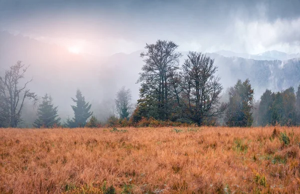 Increíble Amanecer Valle Montaña Niebla Auautm Escena Las Montañas Los — Foto de Stock