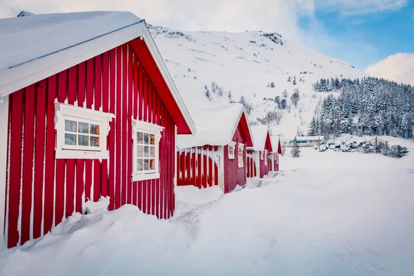 传统的挪威红木房子在新雪下 挪威Vestvagoy Kongsjordpollen Fjord海岸上的Lofoten岛冬季景色明亮 极地上空的生活 — 图库照片