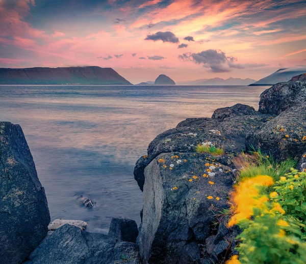 Güzel Bir Yaz Manzarası Hestur Adası Nın Resimli Yaz Manzarası — Stok fotoğraf