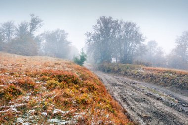 Eski kır yolu ile harika bir sonbahar manzarası. Sakin bir dağ vadisi manzarası. Dağ ormanındaki ilk kar. Doğa konseptinin güzelliği.
