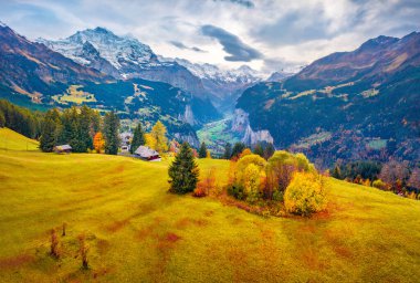 FAerial manzara fotoğrafçılığından görüntü. Lauterbrunnen bölgesindeki Wengen köyünden renkli bir yaz manzarası. İsviçre Alpleri, İsviçre, Avrupa 'nın kasvetli sabah manzarası.