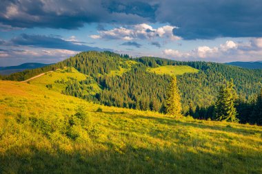 Karpat dağlarında sıcak bir yaz akşamı. Dağ Vadisi 'nin pitoresk manzarası. Doğa konseptinin güzelliği