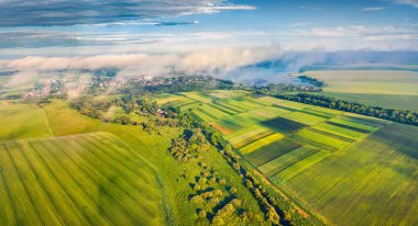 Plotycha Gölü 'nün insansız hava aracı görüntüsü. Ukrayna 'nın Ukrayna kırsalının güneşli yaz manzarası, Ternopil bölgesi, Ukrayna. Buğday tarlalarının havadan görünüşü. Seyahat konsepti arka planı