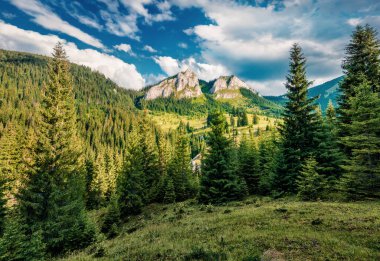 Pietrele Albe 'nin dağ zirvesinin muhteşem manzarası. Apuseni Doğal Parkı, Cluj County, Romanya, Avrupa 'nın fantastik yaz sahnesi. Doğa konseptinin güzelliği.