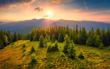 Homyak 'ın uçan insansız hava aracının pembe ışıktaki görüntüsü inanılmaz. Ukrayna, Avrupa 'daki Karpat dağlarında çarpıcı bir günbatımı. Doğa konseptinin güzelliği.