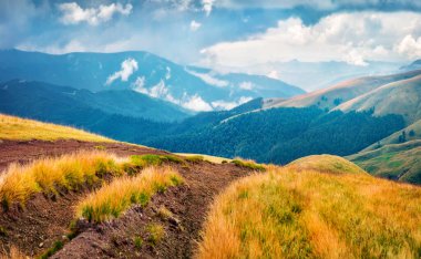 Svydovets 'in eski kır yolu ile muhteşem bir yaz manzarası. Sisli Karpat Dağları, Ukrayna, Avrupa 'nın göz kamaştırıcı sabah manzarası. Seyahat konsepti arka planı.