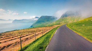 Streymoy Adası 'ndaki asfalt yolda. Danimarka Krallığı, Avrupa 'nın Faroe Adaları' ndaki Sydradalur köyünün renkli yaz manzarası. Doğa konseptinin güzelliği.