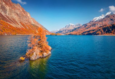 Hava manzarası fotoğrafçılığı. Sils Gölü 'nün (Silsersee) uçan insansız hava aracının çekici sabah görüntüsü. İsviçre Alpleri, Maloja Bölgesi, Yukarı Motor, İsviçre, Avrupa 'nın harika sonbahar manzarası.
