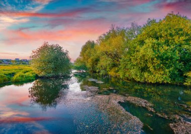 Seret Nehri 'nde fantastik bir yaz günbatımı. Nehir kıyısında taze yeşil ağaçlar. Ukrayna kırsalının açık hava manzarası. Doğa konseptinin güzelliği