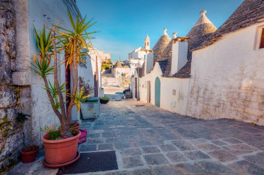 Trullo (trulli) ile strret 'in çekici sabah görüntüsü - konik çatılı geleneksel Apulian kuru taş kulübe. Alberobello şehrinin muhteşem bahar şehri, Bari ili, Apulia bölgesi, İtalya ve Avrupa.