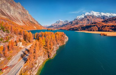 Sils Gölü 'nde (Silsersee) harika bir yaz günü. İsviçre Alpleri, Maloja Bölgesi, Yukarı Lokomotif, İsviçre, Avrupa 'nın sonbahar manzarası. Doğa konseptinin güzelliği. Güzel sonbahar manzarası