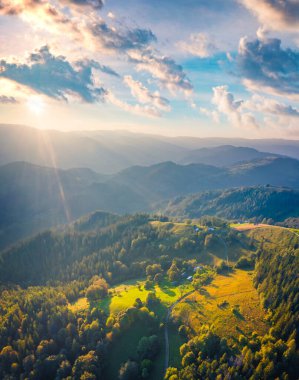 Güzel bir yaz manzarası. Karpat Dağları 'nın parlak sabah manzarası. Ukrayna, Avrupa 'daki Snidavka köyünün harika yaz manzarası. Peyzaj fotoğrafçılığı
