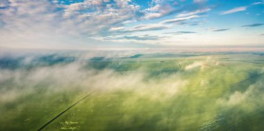 İnsansız hava aracıyla bulutların üzerinde uçuyor. Buğday tarlasının puslu sabahı. Ukrayna 'nın panoramik yaz manzarası, Ternopil bölgesi. Doğa konseptinin güzelliği