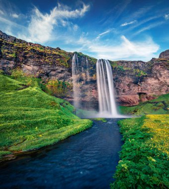 Seljalandsfoss Watterfall 'un etkileyici yaz manzarası. İzlanda, Avrupa 'nın muhteşem mormimg sahnesi. Doğa konseptinin güzelliği.