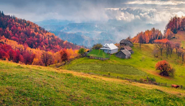 Spectaculaire Vue Automne Sur Village Des Carpates Incroyable Scène Matinale — Photo