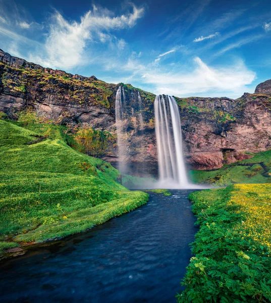 Impressionante Vista Verão Seljalandsfoss Watterfall Esplêndida Cena Mormimg Islândia Europa — Fotografia de Stock