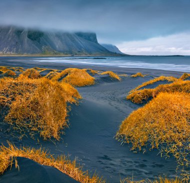 Üzerinde sarı çimenler olan siyah kum tepeciklerinin muhteşem sonbahar manzarası. Arka planda Vestrahorn (Batman Dağı) ile Stoksnes 'in muhteşem sabah manzarası. İzlanda, Avrupa 'ya seyahat.