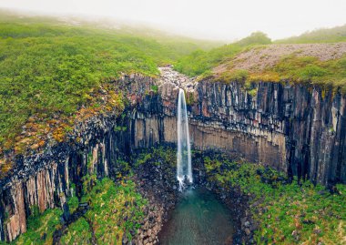 Ünlü Svartifoss (Kara Düşüş) şelalesinin uçan dronundan sisli sabah görüntüsü. Skaftafell, Vatnajokull Ulusal Parkı, İzlanda, Avrupa 'nın puslu yaz sahnesi. Doğa konseptinin güzelliği